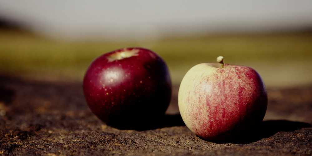 14376191135_3d5e9eac92_k