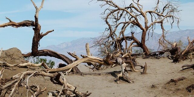 03-hanged-man-death-valley-89261_640