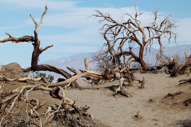 03-hanged-man-death-valley-89261_640