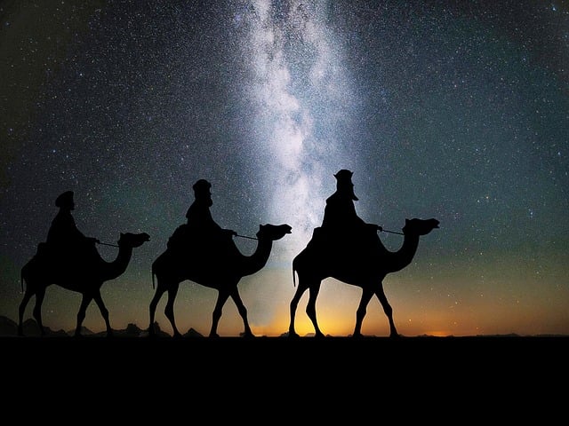 06-merchant and son-camels-1150075_640