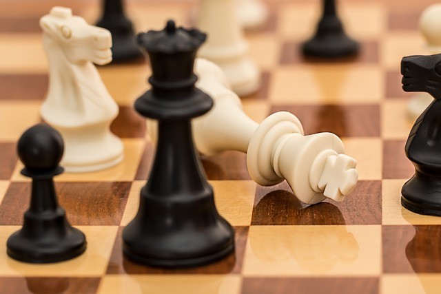 20-cunning-man-checkmate-1511866_640
