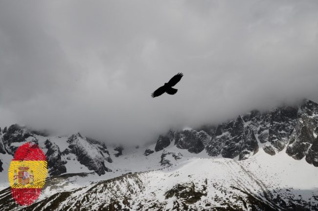 Adler-spflag