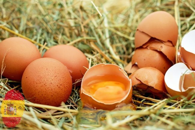 egg-1510449_spflag